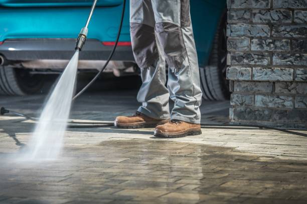Best Building Exterior Washing  in Albertson, NY